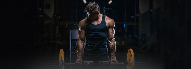 Nuviqo Fitness Banner Homepage